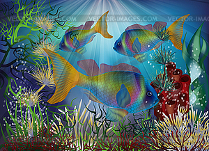 Underwater wallpaper with tropical fish, vector illustr - vector image