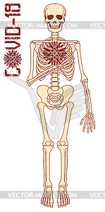 Human skeleton with coronavirus covid-19   isolated - royalty-free vector clipart