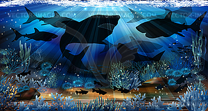 Underwater background with shark, vector illustration - vector image