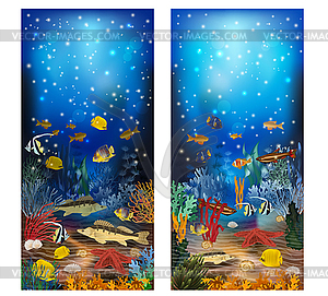 Underwater banners with tropical fish. vector  - royalty-free vector image