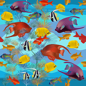 Seamless pattern, underwater card with tropical fish.  - vector clipart