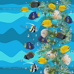 Seamless underwater pattern with seashell and tropical  - vector clipart