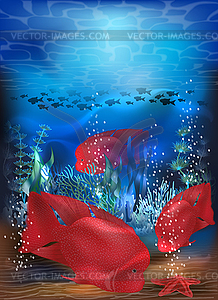 Underwater card with red tropical Blood parrot fish - vector image