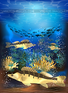 Underwater card with White sturgeon fish , vector - vector image