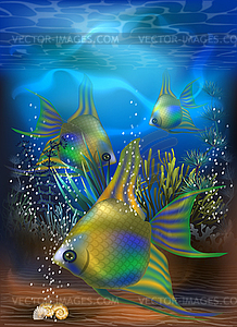 Underwater tropical card with Emerald Angelfish, vector - vector clip art