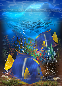 Underwater tropical invitation card with Blue Tang fish - vector clipart