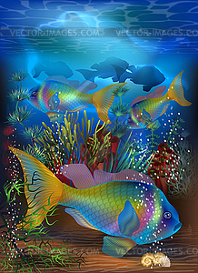Underwater card with red tropical fish, vector - vector clipart