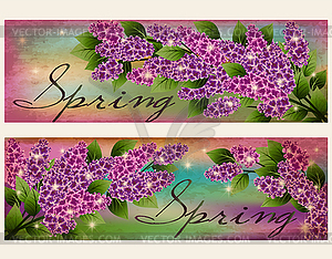 Spring seasonal banners with lilac flowers. vector illu - vector clip art