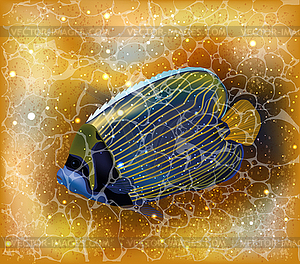 Yellow and blue tropical fish , underwater summer card. - vector image