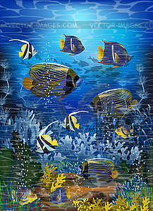 Underwater card with tropical fish, vector illustration - vector clipart