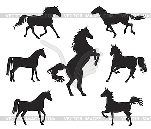 Silhouettes of Arabian Horse - vector clipart