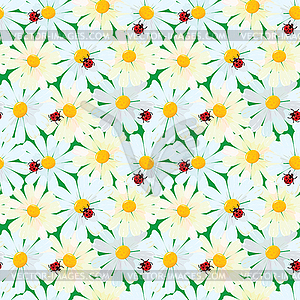 Seamless pattern with chamomile flowers and - vector clipart