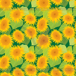 Seamless pattern with sunflowers. Summer season, - vector image
