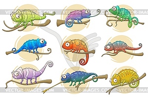 Chameleon lizard icons of bright reptile animals - vector image