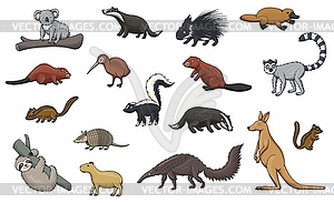 Wild animal cartoon icons of zoo and wildlife - vector clipart