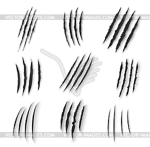 Claws scratches animal nails rip - vector clip art