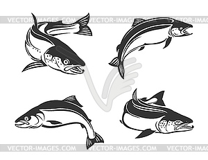 Лососевые рыбы соленые или пресноводные значки - изображение в векторе