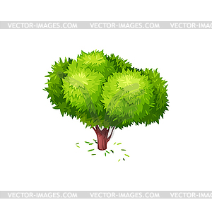 Bushy tree, green fallen leaves tea-tree - vector image