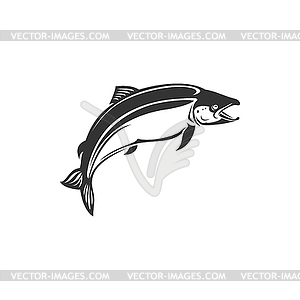 Atlantic salmon ray-finned fish, Salmonidae icon - vector clip art