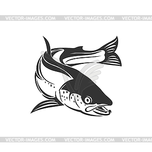 Salmon or trout grayling whitefish sketch - vector clipart / vector image