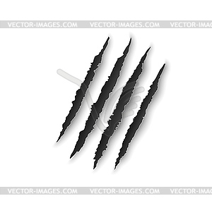 bear claw vector