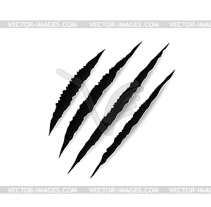 Animal claw marks, paw scratches, slash traces - vector clip art