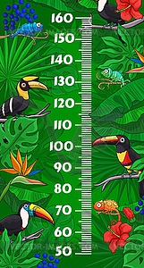 Kids height chart with toucan birds and chameleons - vector clipart
