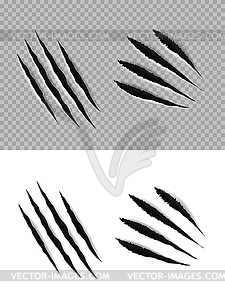 Claw marks and scratches of animal paws and talons - royalty-free vector image