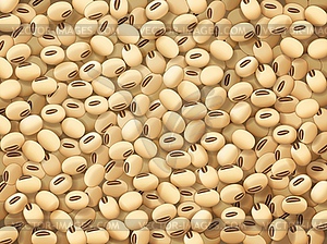 Soy beans, organic legumes harvest background - vector clip art