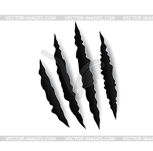 Grizzly bear claw marks and scratches, torn cracks - vector clipart / vector image