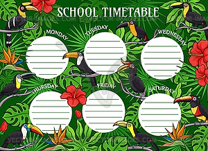 Cartoon toucan birds education timetable schedule - vector clip art