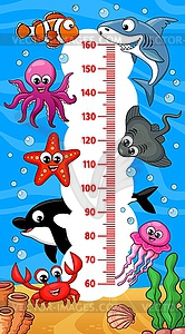 Kids height chart, underwater cartoon sea animals - vector image