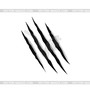 Damaged ripped paper of animal nails scratch - vector image