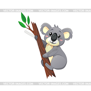 Funny koala cartoon character, eucalyptus branch - color vector clipart