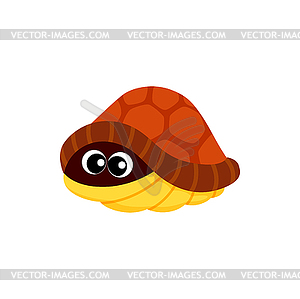 Hiding turtle cartoon animal reptile tortoise toy - vector image