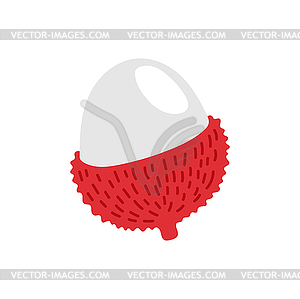 Litchi fruit cartoon rambutan tropical dessert - vector clipart / vector image