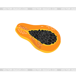 Pawpaw tropical fruit papaya exotic food dessert - vector clipart