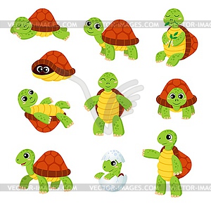 Мультяшный черепаха, милая черепаха животное персонаж - изображение в векторном виде
