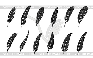 Quill feather icons. Bird plume silhouettes - vector image