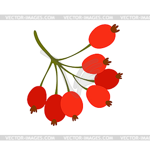 Red barberries, ripe berberine cartoon plants - vector clipart