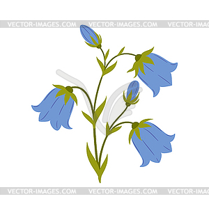 Природный цветок колокольчик цветок, цветочное листовое растение - клипарт