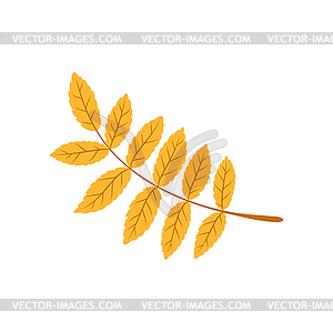 Yellow leaves branch spring decor element - vector image