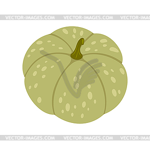 Kabocha vegetable food green acorn squash icon - vector image