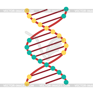 Molecule helix spiral genetic code, twisted DNA - vector clip art