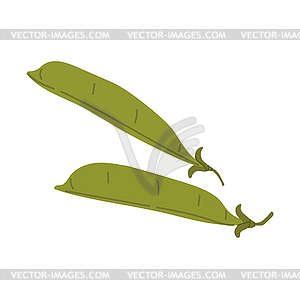 Green pea pod cartoon legume bean food - vector image