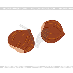 Filbert nut whole hazelnut cobnut snack - vector clipart