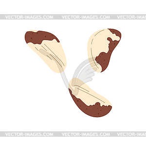 Закуска из очищенных бразильских орехов, значок с пятнистыми семенами - векторизованный клипарт