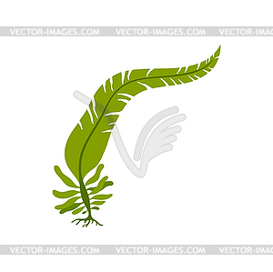 Underwater aquarium sea plant, green algae seaweed - vector clipart