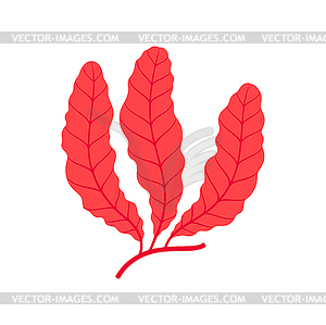 Soft coral with pink leaves, seaweed branch plant - vector clipart