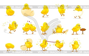 Мультяшные цыплячьи персонажи из милых маленьких цыплят - векторный дизайн